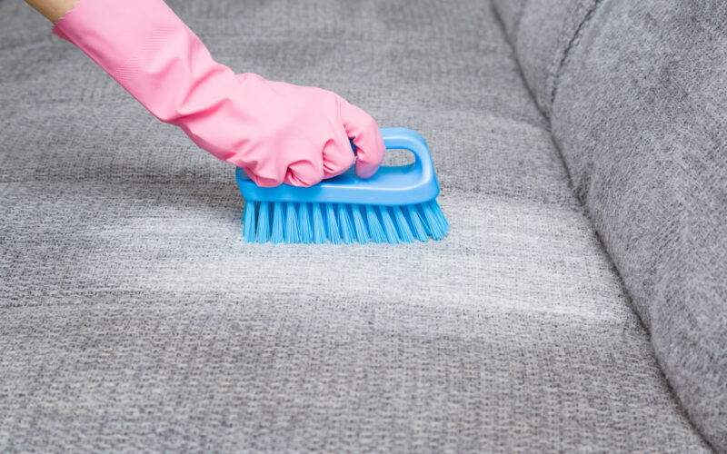What Are the Best Chemicals for Steam Cleaning Couch Cushion Covers?