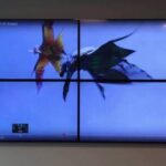 video wall system
